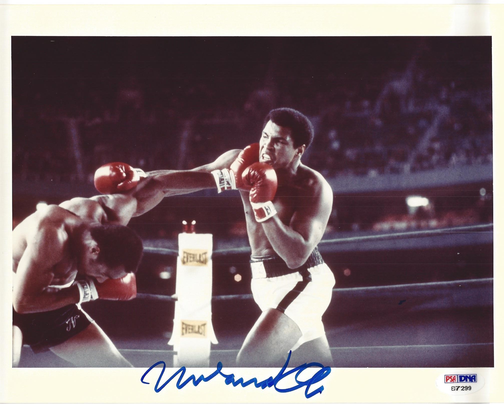Signed 8x10 copy of Muhammad Ali and his famous Right Hook