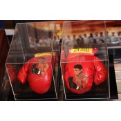 Signed and in Mint Condition Muhammad Ali Boxing Glove Set with painted on Illustration