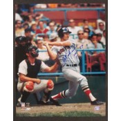 Carl Yastrzemski Autograph Photo (8 x 10)